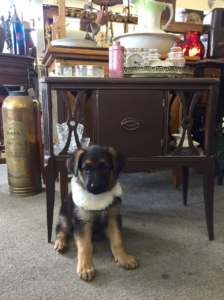 1940's Occasional Table Ready to Dress Up or Down at Ambridge Antiques in Iroquois Falls, ON